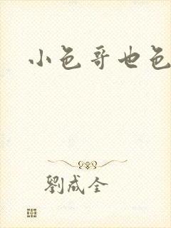 小色哥也色封面