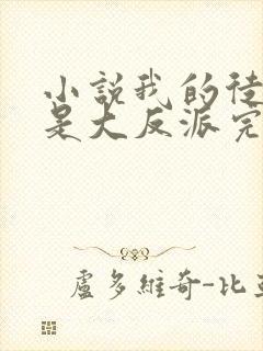 小说我的徒弟都是大反派完结版