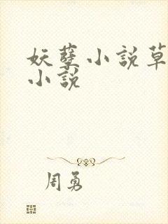 妖孽小说草莓酱小说