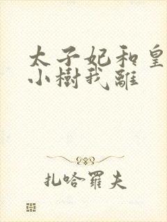 太子妃和皇上在小树我离封面