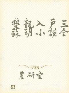 双龙入户三人行苏玥小说全文阅读