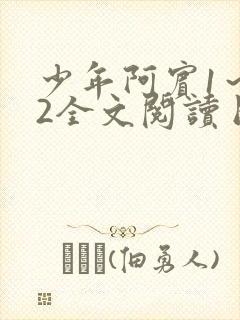 少年阿宾1～72全文阅读目录