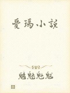 爱玛小说封面