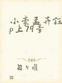 小豪孟卉钰慧三p上79章