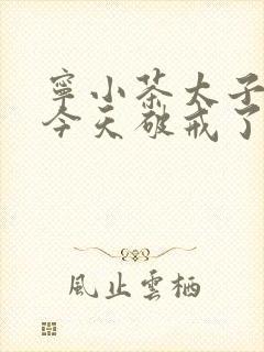 宁小茶太子殿下今天破戒了吗免费阅读