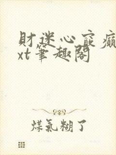 财迷心窍癫婆txt笔趣阁封面