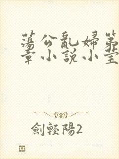 荡公乱妇第51章小说小莹封面