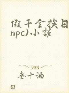 假千金挨日记(npc)小说