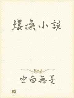 爆操小说