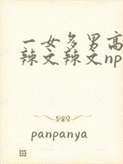 一女多男高h文辣文辣文np