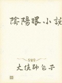 阴阳眼小说