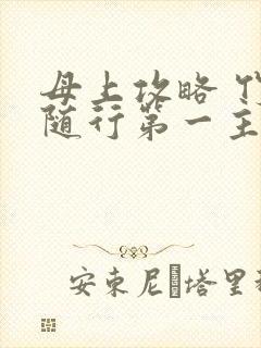 母上攻略 竹影随行第一主板