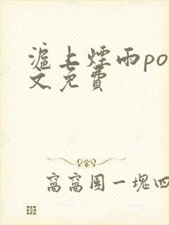 沪上烟雨po全文免费封面