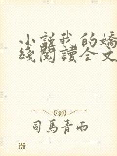 小说我的娇妻在线阅读全文