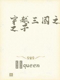 穿越三国之袁绍之子封面