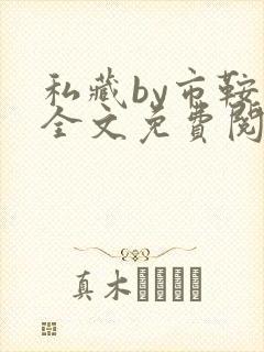 私藏by市鞍马全文免费阅读笔趣阁