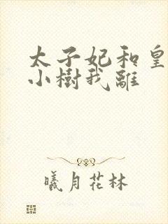 太子妃和皇上在小树我离