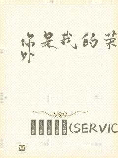 你是我的荣耀番外