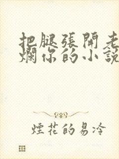 把腿张开老子臊烂你的小说