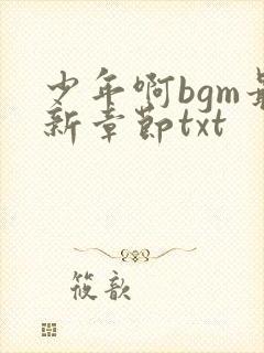 少年啊bgm最新章节txt封面