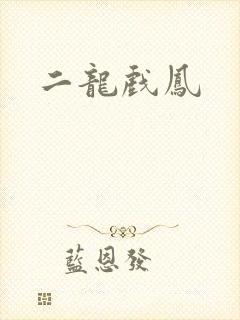 二龙戏凤