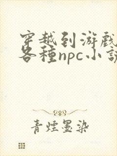 穿越到游戏里和各种npc小说