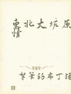 东北大坑原始激情封面