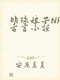 明珠娘子NPC古言小说