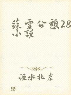 苏雪公憩28篇小说