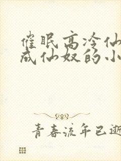 催眠高冷仙奴变成仙奴的小说