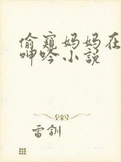 偷窥妈妈在卧室呻吟小说