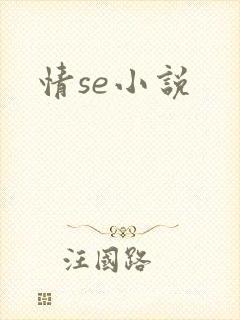 情se小说