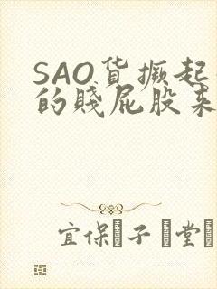 SAO货撅起你的贱屁股来