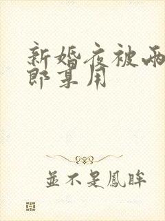 新婚夜被两个伴郎享用