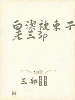 白洁被东子老二老三3p