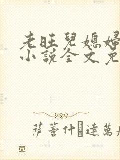 老旺儿媳妇秦雨小说全文免费阅读封面