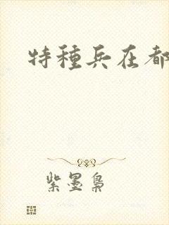 特种兵在都市