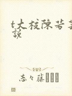 t大校陈若芸小说