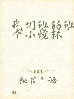 我们班的班花是个小烧杯