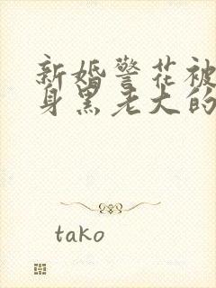 新婚警花被迫献身黑老大的小说