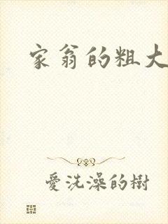 家翁的粗大封面
