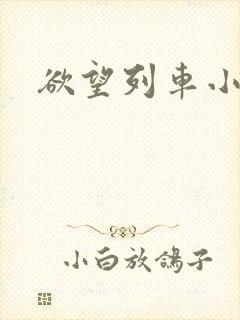 欲望列车小说