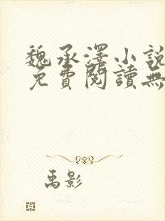 魏承泽小说全文免费阅读无弹窗笔趣