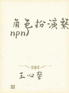 角色扮演系统(npn)