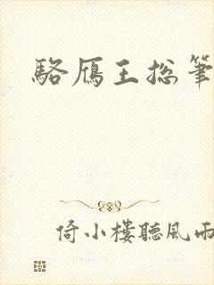 骆雁王总笔趣阁封面