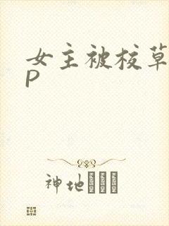 女主被校草们NP