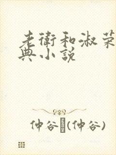 老卫和淑荣的经典小说