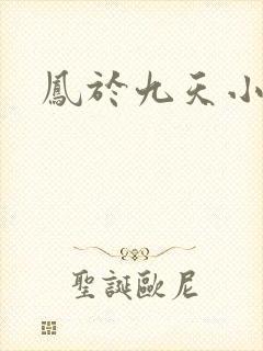 凤于九天小说
