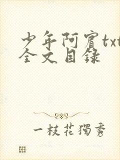 少年阿宾txt全文目录