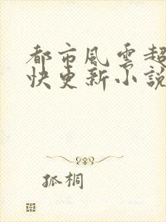 都市风云超前超快更新小说